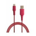 Temium CABLE USB TYPE C ROUGE 1M