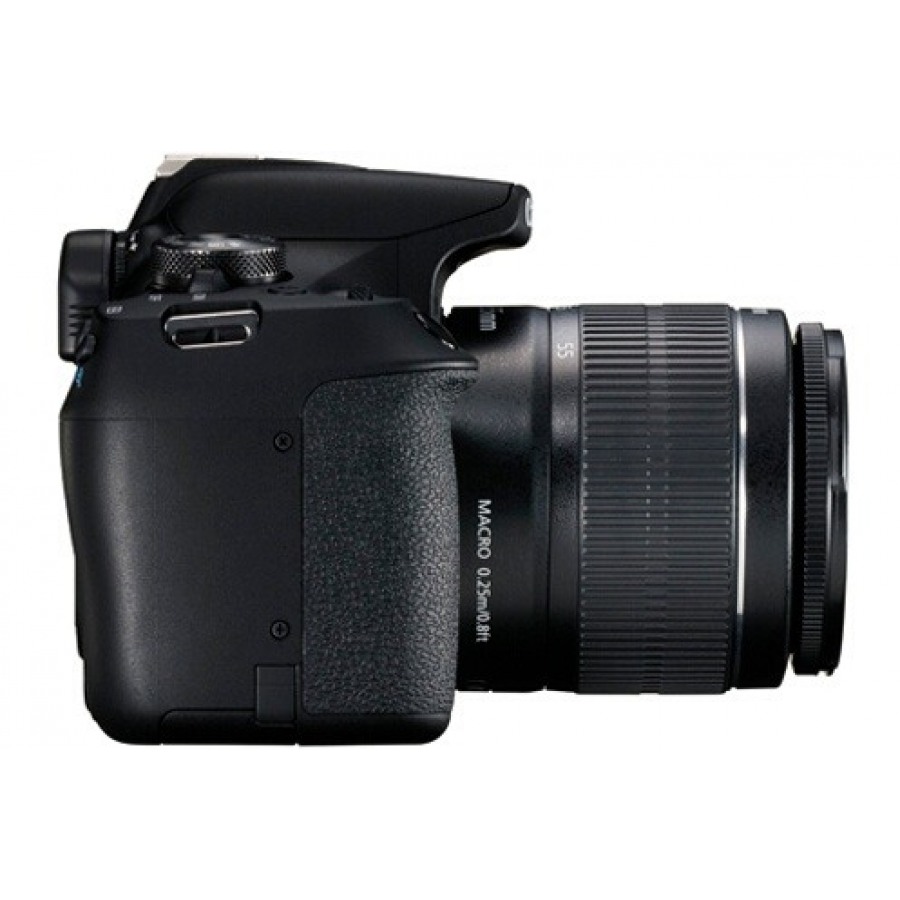 Canon EOS 2000D + EF-S 18-55 IS II n°4