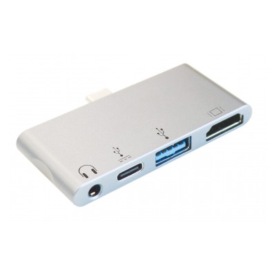Itworks HUB USB-C IPAD PRO 4 en 1 Silver