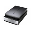 Epson V800