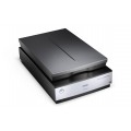 Epson V800