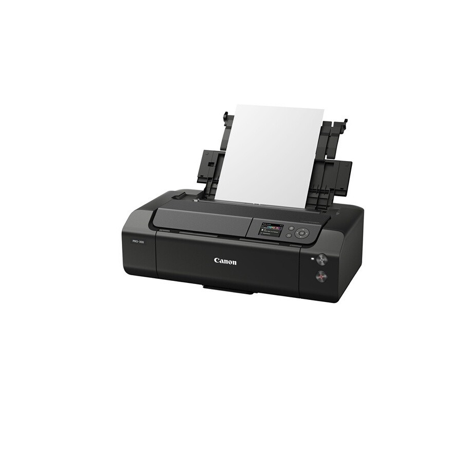 Canon PRO 300 n°7