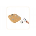 Little Balance Connect Bambou USB GREEN POWER 8359