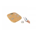 Little Balance Connect Bambou USB GREEN POWER 8359