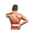 Terraillon EASY CARE ELECTROSTIMULATION MULTIZONES