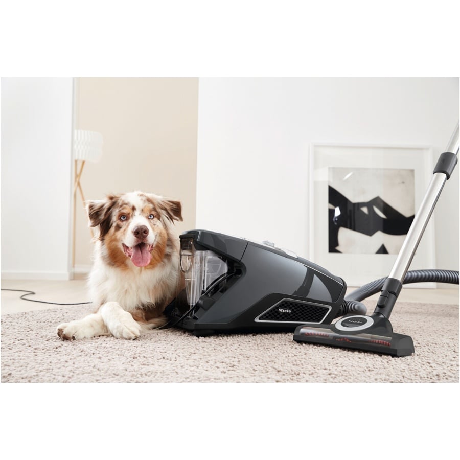 Miele Blizzard CX1 Cat&Dog Flex PowerLine n°8