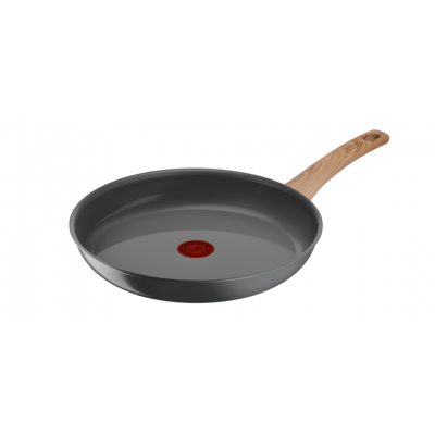 TEFAL C4250613