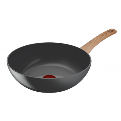 TEFAL C4251913
