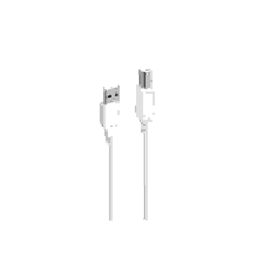 Accsup CABLE IMPRIMANTE USB-A VERS USB-B 2.0 1,8M BLANC n°1