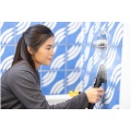 Bissell B3700N SpotClean HydroSteam