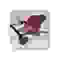 Hoover ASPIRATEUR TRAINEAU AVEC SAC