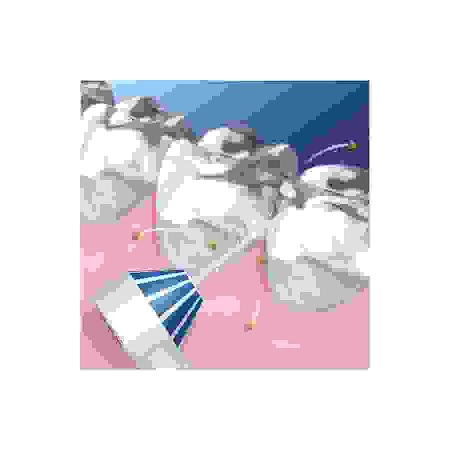 Oral B Jet Dentaire Oral B Aquacare 4 BLANC n°8