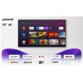 POLAROID TVS55QLEDP