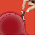 Krups Nescafe Dolce Gusto Piccolo XS rouge YY4950FD