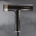 DESSANGE DIGITAL PRO POWER