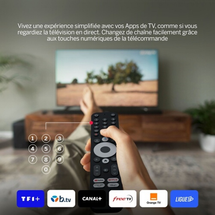 Thomson Streaming Box 245 4K avec Google TV n°8